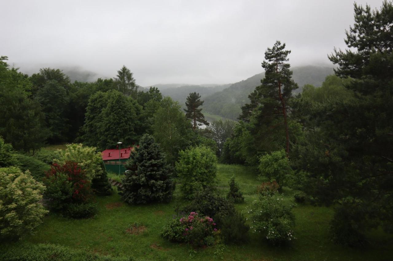 Osrodek Wypoczynkowy " Bieszczady" Hotel Myczkowce Buitenkant foto
